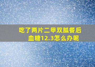 吃了两片二甲双胍餐后血糖12.3怎么办呢