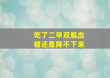 吃了二甲双胍血糖还是降不下来