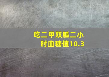 吃二甲双胍二小时血糖值10.3