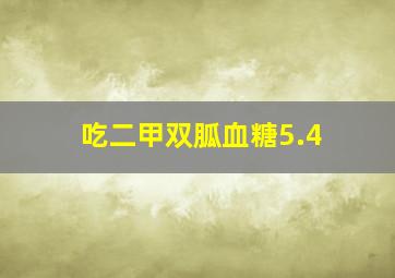 吃二甲双胍血糖5.4