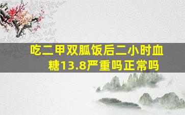 吃二甲双胍饭后二小时血糖13.8严重吗正常吗