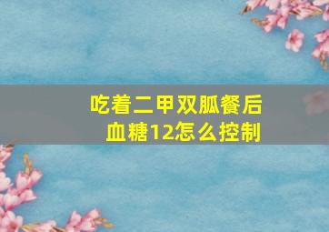 吃着二甲双胍餐后血糖12怎么控制