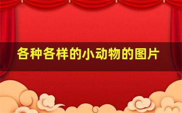 各种各样的小动物的图片