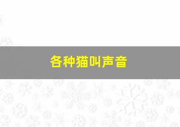 各种猫叫声音