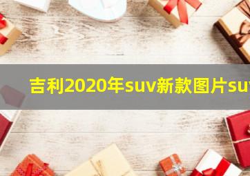 吉利2020年suv新款图片suv