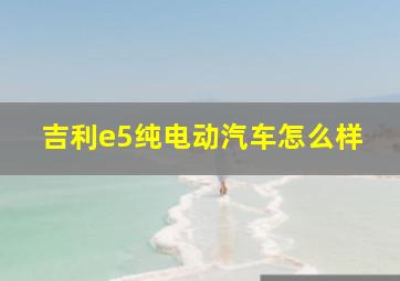 吉利e5纯电动汽车怎么样