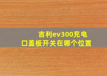 吉利ev300充电口盖板开关在哪个位置