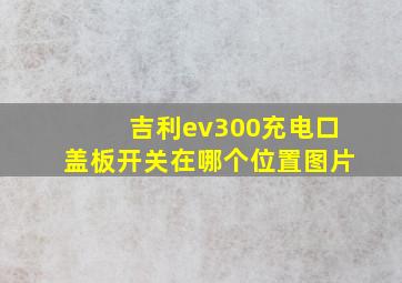 吉利ev300充电口盖板开关在哪个位置图片