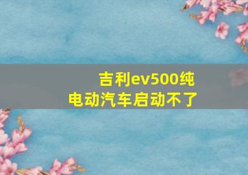 吉利ev500纯电动汽车启动不了