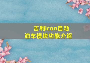 吉利icon自动泊车模块功能介绍