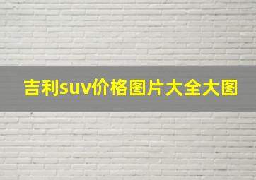 吉利suv价格图片大全大图