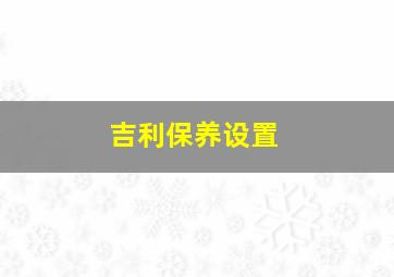 吉利保养设置