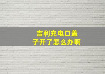 吉利充电口盖子开了怎么办啊