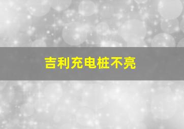 吉利充电桩不亮