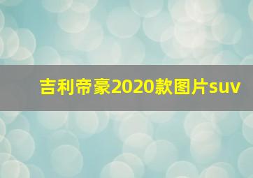 吉利帝豪2020款图片suv