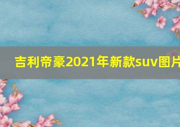 吉利帝豪2021年新款suv图片