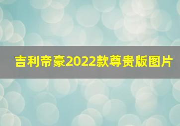 吉利帝豪2022款尊贵版图片