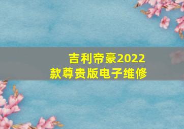 吉利帝豪2022款尊贵版电子维修