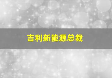 吉利新能源总裁