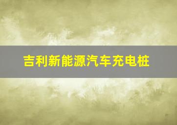 吉利新能源汽车充电桩