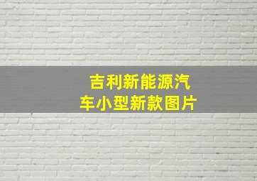 吉利新能源汽车小型新款图片