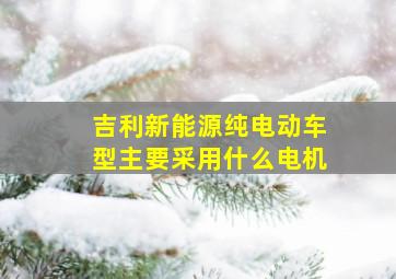 吉利新能源纯电动车型主要采用什么电机