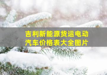 吉利新能源货运电动汽车价格表大全图片