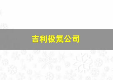 吉利极氪公司