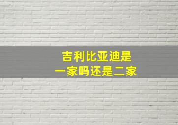 吉利比亚迪是一家吗还是二家