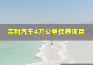 吉利汽车4万公里保养项目