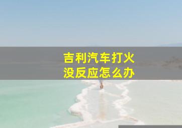 吉利汽车打火没反应怎么办