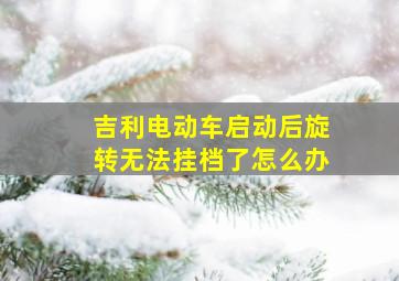 吉利电动车启动后旋转无法挂档了怎么办