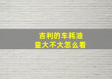 吉利的车耗油量大不大怎么看