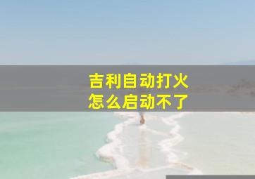 吉利自动打火怎么启动不了