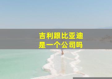 吉利跟比亚迪是一个公司吗