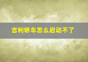 吉利轿车怎么启动不了