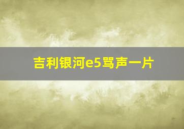 吉利银河e5骂声一片