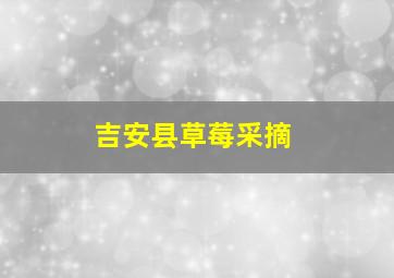 吉安县草莓采摘