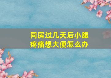 同房过几天后小腹疼痛想大便怎么办