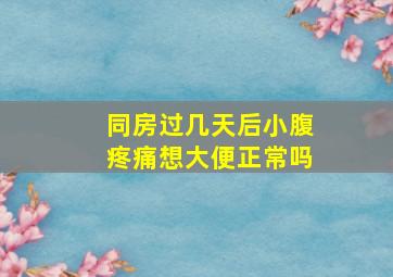 同房过几天后小腹疼痛想大便正常吗