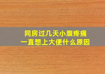 同房过几天小腹疼痛一直想上大便什么原因