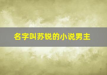 名字叫苏锐的小说男主