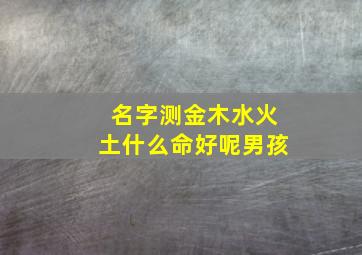 名字测金木水火土什么命好呢男孩