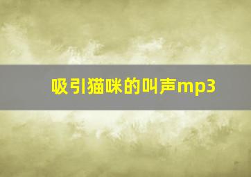 吸引猫咪的叫声mp3