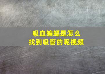 吸血蝙蝠是怎么找到吸管的呢视频