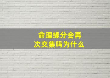 命理缘分会再次交集吗为什么