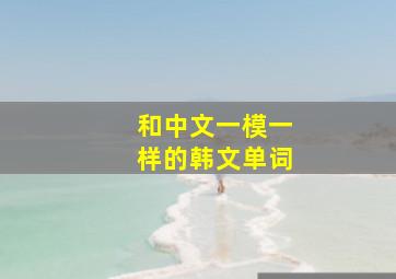 和中文一模一样的韩文单词