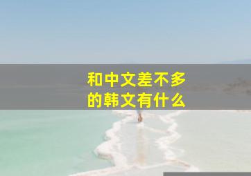 和中文差不多的韩文有什么