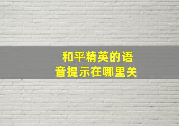 和平精英的语音提示在哪里关