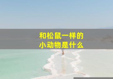 和松鼠一样的小动物是什么